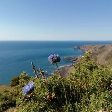 Kiberick Cottage At Crackington Haven, Near Bude And Boscastle, Cornwall Extérieur photo
