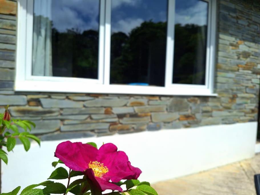Kiberick Cottage At Crackington Haven, Near Bude And Boscastle, Cornwall Extérieur photo