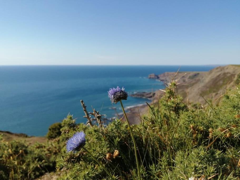 Kiberick Cottage At Crackington Haven, Near Bude And Boscastle, Cornwall Extérieur photo